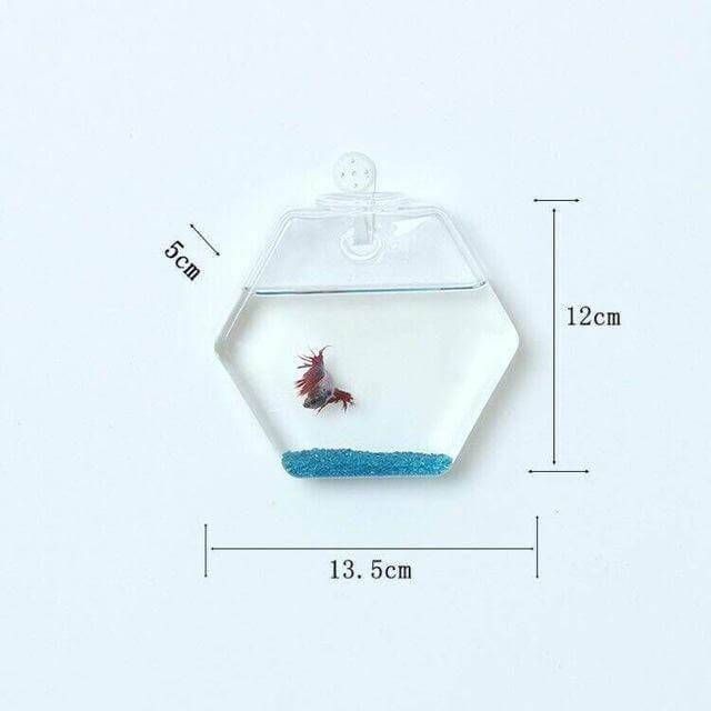 Handmade  New Hexagonal  Wall Clear Terrarium Vase