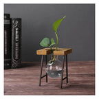 Creative Home Decoration Hydroponic With Iron Feet Plant Vase