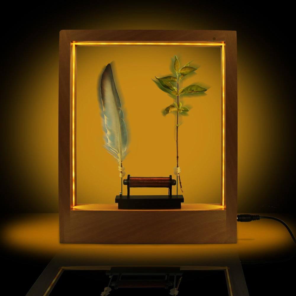 Slow Motion Frame LED Feather Night Light