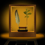 Slow Motion Frame LED Feather Night Light