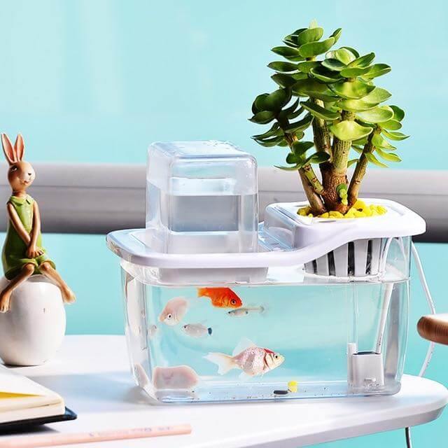 Creative Ecological Mini Fish Tanks