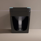 Black Pearl Futuristic Intelligent Elegant Toilet
